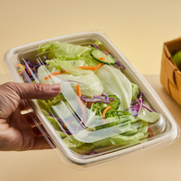 Emballage alimentaire jetable en pulpe de bagasse de canne à sucre, boîte à lunch, bol à salade en pulpe de bagasse de canne à sucre avec couvercle