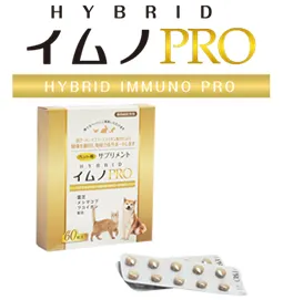 Suplemen probiotik kekebalan tubuh makanan hewan peliharaan kualitas tinggi yang dapat diandalkan di Jepang untuk anjing