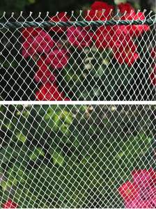 <span class=keywords><strong>Filet</strong></span> anti-oiseaux en nylon blanc pour la <span class=keywords><strong>protection</strong></span> des jardins et des cultures, <span class=keywords><strong>filet</strong></span> pour enclos de chats/chiens/poulets (1Mx15M 18 brins 3cm) - Product Image 4