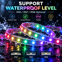 DC24V LC8816A Strip LED Pixel RGBW Terintegrasi IC yang Dapat Diatur Alamatnya 60 LED Per Meter