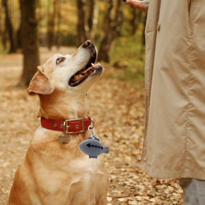 Pet Waste Bag Dispenser Reusable Silicone Dog Poop <b>Collection</b> <b>Box</b> Cartoon Style Azure Color - Product Image 3