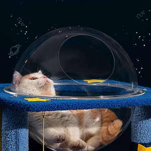 Estructura de Escalada para Gatos Resistente a los Arañazos con Decoración de Cápsula Transparente para Gatos Pequeños y Medianos - Product Image 5