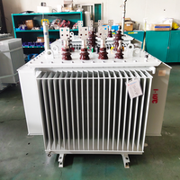Transformateur de distribution triphasé immergé dans l'huile JZP IEEE 250 kVA 10/0,4 kV pour les systèmes de distribution d'énergie des établissements publics