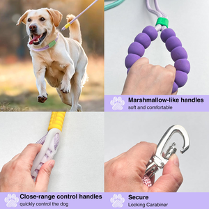 <b>Dog</b> Leash for Puppies Corgi-Eco-friendly Nylon Traction Rope Two-in-One Design Custom Outdoor Walking Non-Tightening - Product Image 4