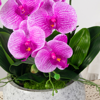 Offre Spéciale – Fleurs Artificielles Orchidée Papillon Réalistes à 5 Têtes, 70 cm, pour Décoration de Fêtes et de la Maison