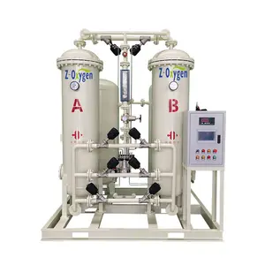20nm 3/H Hete Verkoop Psa Zuurstofgenerator Stabiele Zuurstoftoevoer Voor Aquacultuur