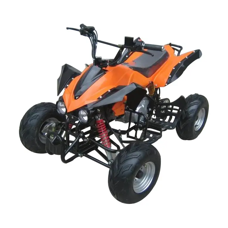 Mini ATV for Adult and Children Good Quality Quad Atv 110CC 125cc 4-stroke OEM 250cc 48V Automatic 250cc Quad Bike /atv ECE 2WD