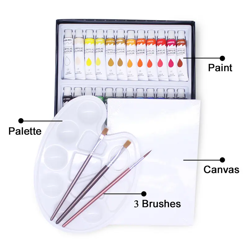 12ml 24 Colors Acrylic Paints Set Include 3 Brushes 1 Palette & 1 Canvas for Fabrics Painting Clothing Pigments Non-toxic Paints