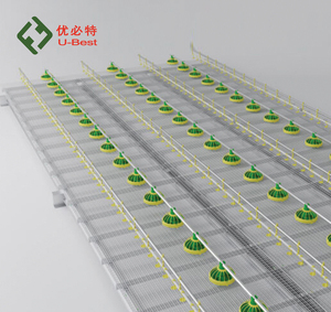 Nouveau plancher en plastique PP pour <span class=keywords><strong>poulailler</strong></span>, pour utilisation à la ferme, équipement d'élevage, plancher de <span class=keywords><strong>poulailler</strong></span> - Product Image 1