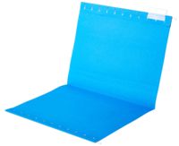 Carpeta de archivos colgantes de colores surtidos de tamaños A4/FC, sujetador de PVC personalizado, carpeta de archivos colgantes de papel, documentos de archivos a granel para el hogar y la Oficina