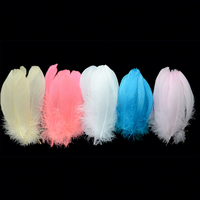 Plumes d'oie naturelles pour l'artisanat, le bricolage, la décoration de stylos, les coiffes, les costumes, les chapeaux, les accessoires capillaires, les fêtes de carnaval, les mariages, la décoration intérieure et les décorations de Noël