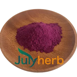 Julyherb, оптовая продажа, натуральное сырье, сублимированное красное сердце, дракон, фруктовый 100% порошок, ингредиенты для выпечки напитков
