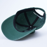 Gewassen Katoen Vintage Outdoor Oem Low Profile Cap Maatwerk 6 Panel Gebogen Rand Papa Cap Geborduurd Logo