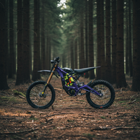 Nouvelle Moto Tout-Terrain Électrique 2026 10KW Puissance de Pointe Surron Light Bee X Ebike