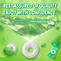 AOOLIO Bonbons durs multicolores aromatisés aux fruits, saveur menthe fraîche, 90g, boîte personnalisable, confiserie, rafraîchisseur d'haleine, 12