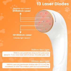 Mesin Laser Dingin untuk Anjing, Kucing, Kuda - Layar Sentuh, Dapat Disesuaikan, Pereda Nyeri & Garansi Seumur Hidup - Product Image 4