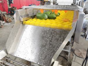 Machine à laver industrielle tomate <span class=keywords><strong>banane</strong></span> piment moule date propre nettoyant canne à sucre orange fruit 100kg - Product Image 5