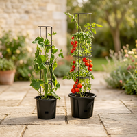 Supports de plantes grimpantes auto-arrosants, anneaux de support de jardin, jardinière avec treillis, tour de culture pour tomates