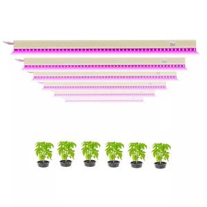 Hydroponics Clone <span class=keywords><strong>18W</strong></span> <span class=keywords><strong>T8</strong></span> Led Grow Light Strip 3000K <span class=keywords><strong>6500K</strong></span> para interiores Veg Clone Grow Led Tube Light - Product Image 3