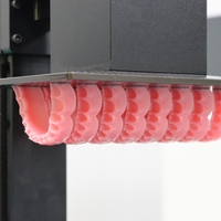 Printer Resin 3D Digital RITON Efisien untuk Laboratorium Gigi, Tingkat Desktop, untuk Produksi Massal di Klinik
