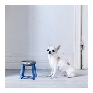 Meilleure vente en céramique écologique chat chien bol de nourriture Durable surélevé support mangeoire à eau en gros produit de santé pour animaux de compagnie - Product Image 1