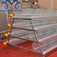 Cage à poulets de type 4, 128 à 160, pour élevage de volailles pondeuses, marché africain