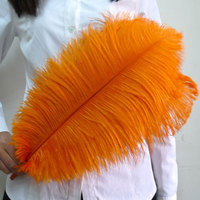 Plumes d'autruche fines teintes brutes de 45-50 cm, fournies par l'usine, en vrac pour les fêtes de carnaval et les décorations de mariage
