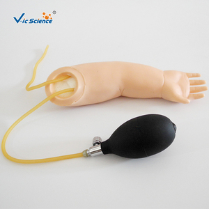 Suministros Médicos: Brazo de Entrenamiento Avanzado para Punción Arterial en Bebés, para Educación Escolar - Product Image 6
