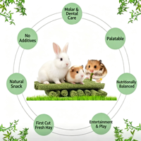 Bâtonnets de foin pour lapins, friandises à mâcher pour les dents, alimentation complète en foin de Timothy pour jeunes lapins et cochons d'Inde, OEM