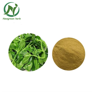 Новый оптовый натуральный китайский органический чистый экстракт анонды (Andrographis Paniculata) - Product Image 1