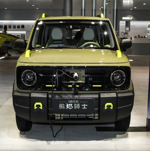 GEELY Panda Mini Yuanqi Bear Panda 2025 210kmGeely automóvil Minicar 3 puertas 4 plazas Hatchback Pure Electric nuevo coche eléctrico - Product Image 2