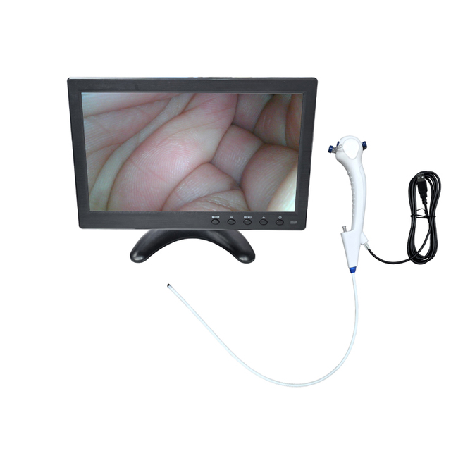 ENT Camera Endoscope Endoscopy High Definition Image Processor Factory Direct Sales Veterinary Endoscope