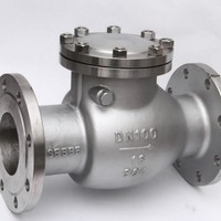 Clapet anti-retour silencieux à ressort en acier inoxydable SS 304 316 pour décharge de pompe, anti-coup de mouche à bas niveau d'eau