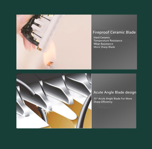 Şarj edilebilir elektrikli düşük gürültü <span class=keywords><strong>Pet</strong></span> küçük hayvanlar saç kesici kesme makinesi ev <span class=keywords><strong>Pet</strong></span> saç tımar kesme - Product Image 6