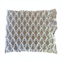 Film de protection logistique gonflable, rembourrage express, taille personnalisable, OEM/ODM, film protecteur résistant aux chocs en PE
