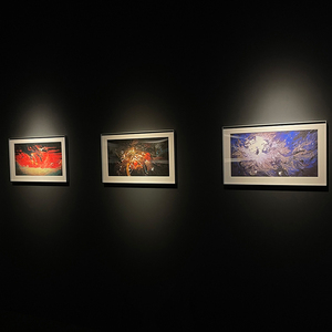 Zoomable 12 Wát Dimmable COB LED theo dõi ánh sáng chống chói LED Đèn cho Bảo tàng thông minh phòng trưng bày nghệ thuật và triển lãm chiếu sáng - Product Image 6