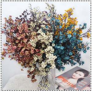 S-1013 Vente en gros de fleurs artificielles de <span class=keywords><strong>jasmin</strong></span> d'hiver colorées en soie de haute qualité, personnalisables, 50 cm, pour le Nouvel An - Product Image 6