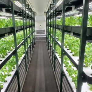 Invernadero agrícola Hidroponía Granja Sistema de <span class=keywords><strong>cultivo</strong></span> Gabinete Inteligente <span class=keywords><strong>Interior</strong></span> Vertical Grow Container - Product Image 2