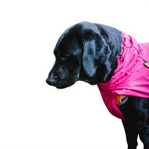 Gilet per cani taglia piccola M, regolabile con coulisse, impermeabile, caldo, abbigliamento sportivo per cani, colore rosa, abbigliamento invernale - Product Image 1
