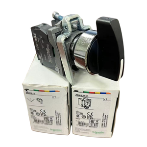 XB4BJ33 Interruttore Schneider a 3 Posizioni con Manico Lungo, 2NO, Testa in Metallo Argentato e Plastica, 220V/24V Max. Interruttori a pulsante On-Off 10A IP65 - Product Image 3