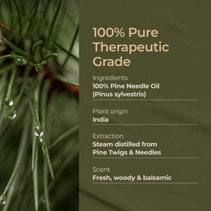 500ml di olio di aghi di pino per integratori alimentari e integratori alimentari forte <span class=keywords><strong>capacità</strong></span> di dissoluzione della schiuma - Product Image 2