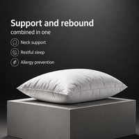Coussin de voyage populaire avec garnissage en duvet 910g, housse en coton 500TC, hypoallergénique, écologique, toutes saisons, pour hôtel et maison, personnalisable