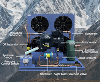 3HP Alta Temperatura Unidad de Compresor Scroll: Compresor Copeland-ZB45KQ / Unidad Condensadora Refrigerada por Aire