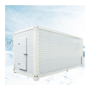 Chambre froide mobile portable pour poisson, poulet, bœuf, lait, produits laitiers, crème glacée, légumes - Product Image 6