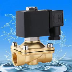 Katup <span class=keywords><strong>Solenoid</strong></span> Kuningan DC12-24V AC110V AC220V 1/2\" 3/4\" 1\" OEM Didukung, Normal Terbuka/Tertutup 2 Arah Diafragma untuk Kontrol Air dan Oli - Product Image 2