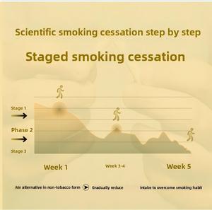 ENWEI Snelwerkende Rookstop Stick Wegwerp Inhalator Zakformaat voor Verlichting van Nicotineverlangens EW018 - Product Image 6