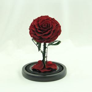 Venta caliente Little Prince Rose Preserved Rose en caja de regalo de vidrio para el Día DE LA Madre y regalos del Día de San Valentín - Product Image 2