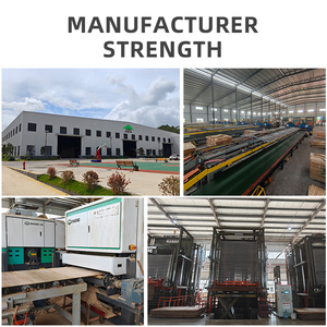 Màu xanh lá cây PP tráng phim phải đối mặt với ván ép tấm 18mm bê tông ván khuôn Panel WBP Phenolic keo bền và tái sử dụng - Product Image 6