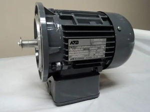 Moteur à induction triphasé AC ATB Motor Teco Regal Rexnord <span class=keywords><strong>Vem</strong></span> Marathon Leeson 7,5 kW 15 kW 30 kW 10 CV 20 CV 30 CV - Product Image 4