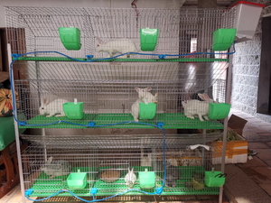 Lồng thỏ giá rẻ chất lượng cao, lưới thép hàn mạ kẽm, nhà máy sản xuất lồng thỏ 3 hoặc 4 tầng - Product Image 4